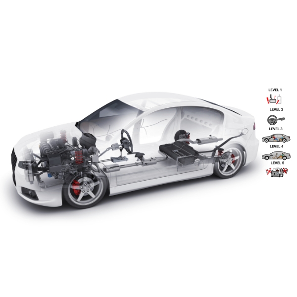 Automotive ADAS/Automated Automotive ADAS/Automated