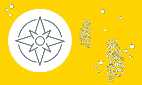 L&P_HA_HP_icon_compass_2000_01